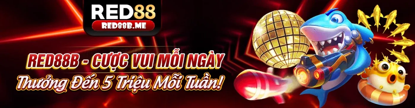 Hệ thống hỗ trợ chuyên nghiệp